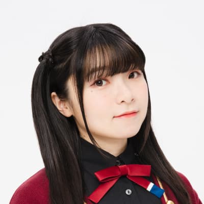 法元明菜(鐘 嵐珠役)